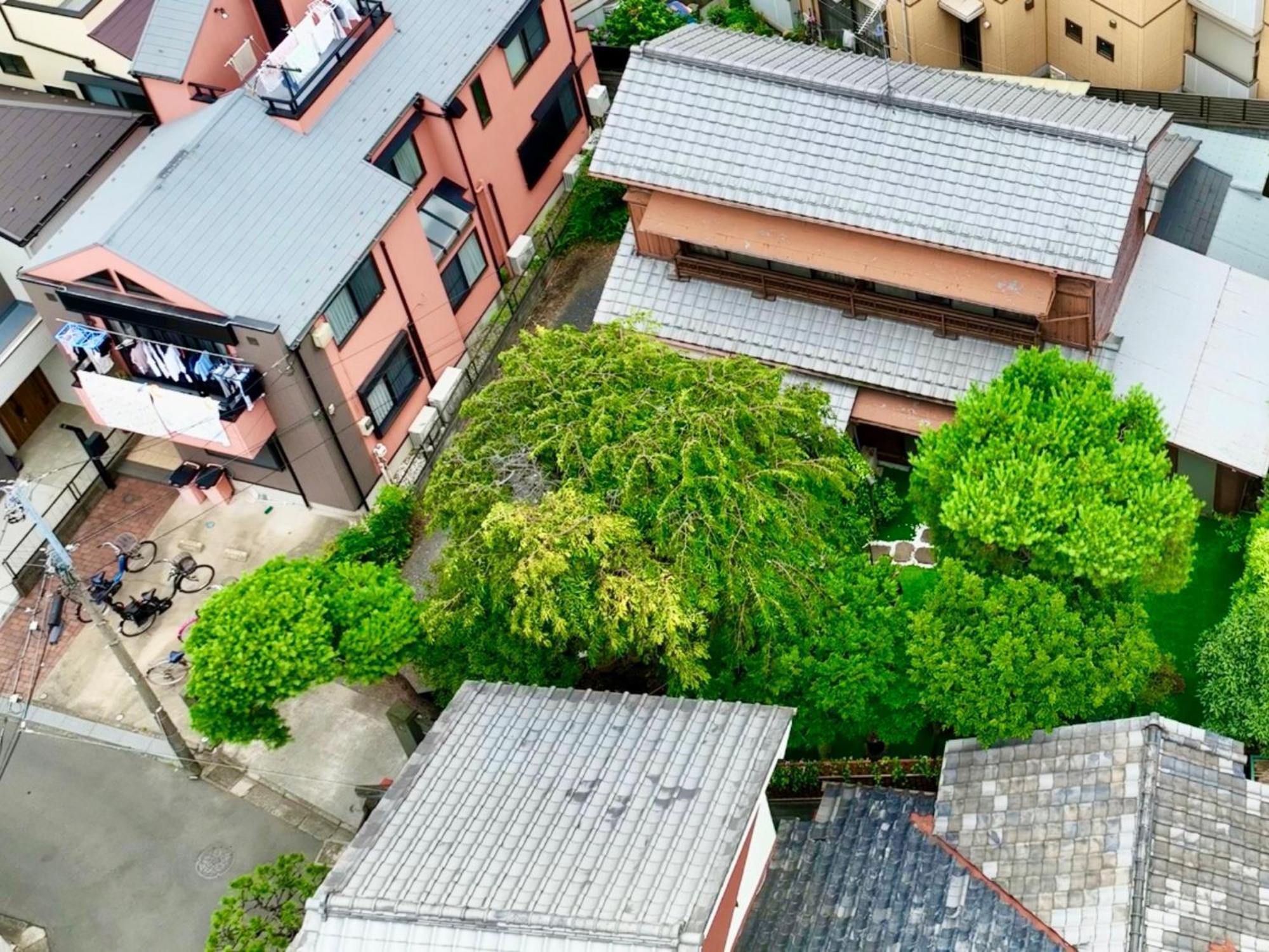 Family Or Business Travel 20 Percent Off丨200 Sqm 丨 14 Min To Shinjuku 丨century-Old Japanese Garden 丨3 Parking Spaces丨4 Bedrooms Tokió Kültér fotó